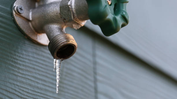 Best Plumbing Inspection Services  in Brier, WA