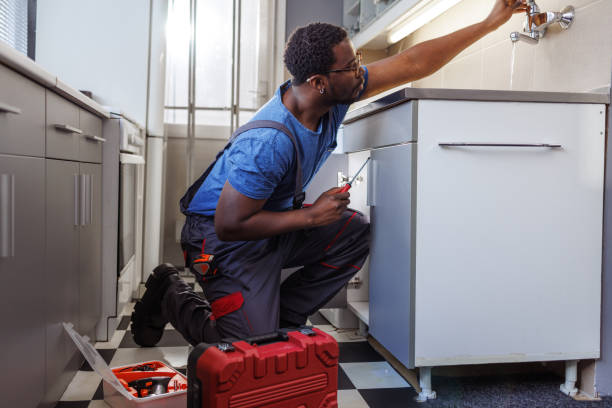 Best Local Plumber Services  in Brier, WA